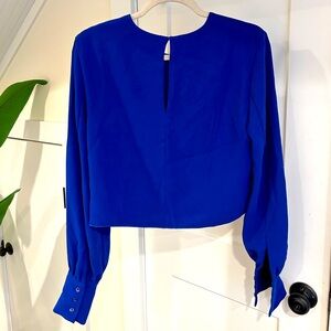 Aritzia Babaton Cobalt Blue Blouse with Cuffs Size M